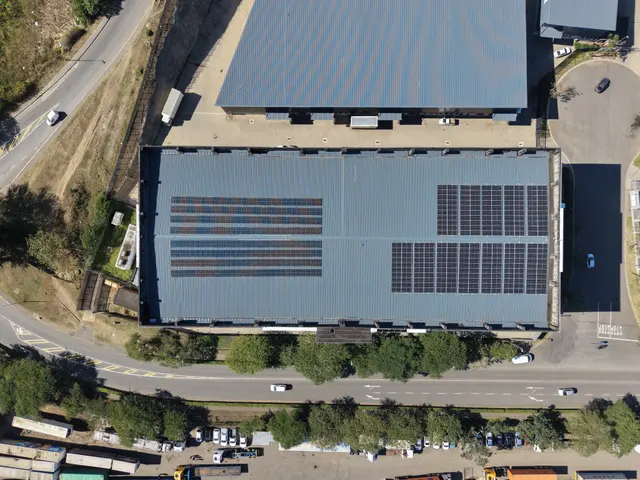 Loading docks and roofline of the Mando's Auto Parts building